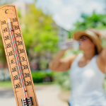 Caldo estremo, l�OMS Europa lancia nuove linee guida: citt� e sanit� chiamate a proteggere i cittadini dalle ondate di calore